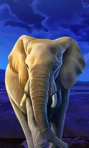 African Elephant